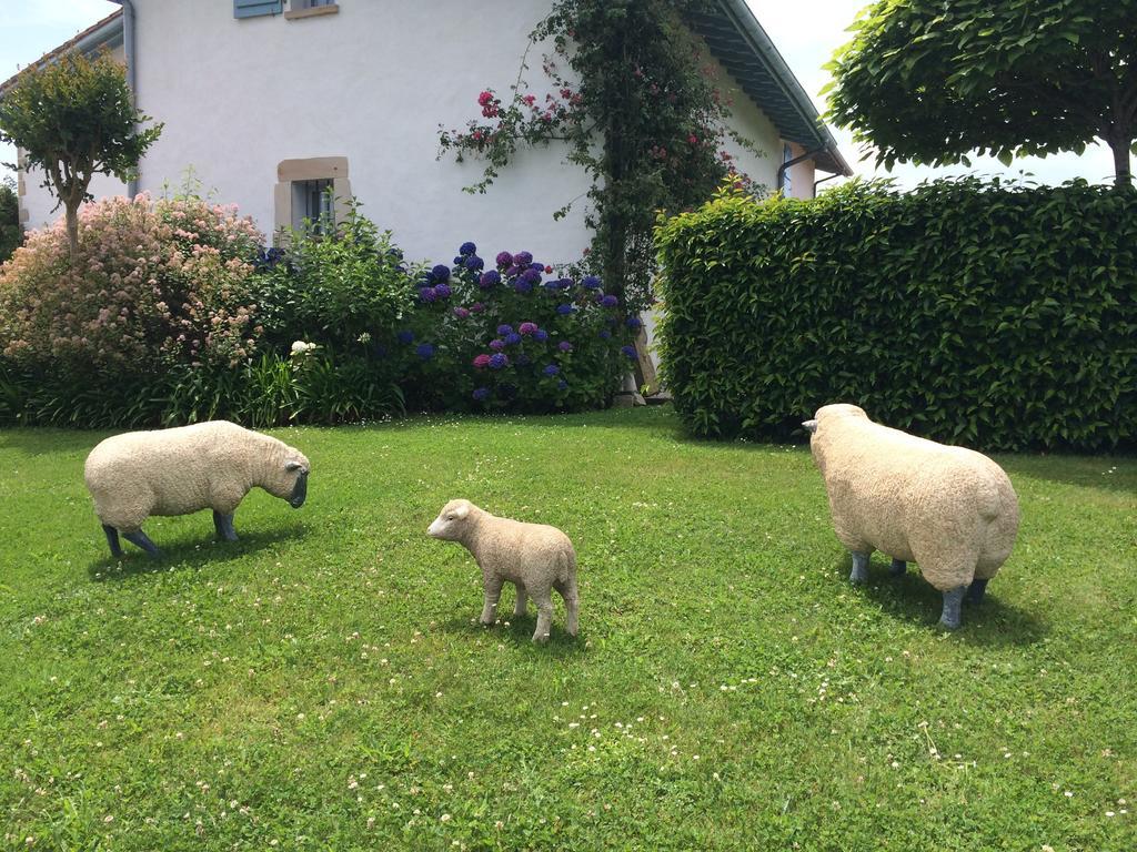 Les Volets Bleus Bed and Breakfast Arcangues Buitenkant foto
