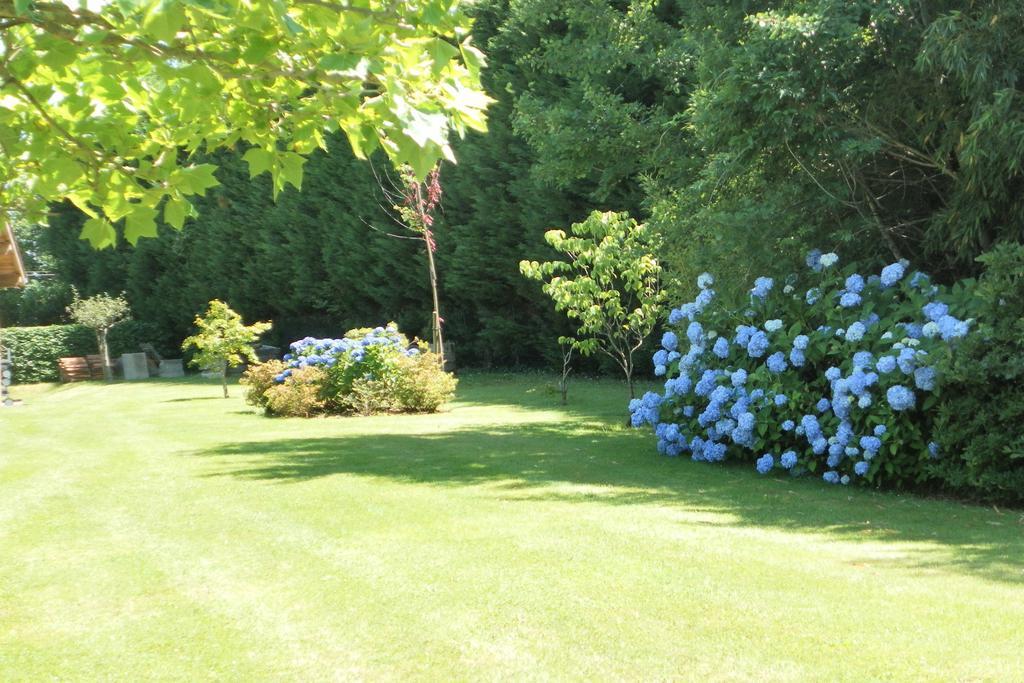 Les Volets Bleus Bed and Breakfast Arcangues Buitenkant foto